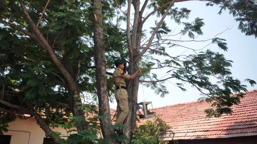 मिशन लाइफ: स्वामी आत्मानंद विद्यालय जांजगीर के एनसीसी कैडेटों ने लगाए पशु-पक्षी के लिए कृत्रिम घोसले .. Kshiti Technologies मिशन लाइफ: स्वामी आत्मानंद विद्यालय जांजगीर के एनसीसी कैडेटों ने लगाए पशु-पक्षी के लिए कृत्रिम घोसले .. Kshiti Technologies