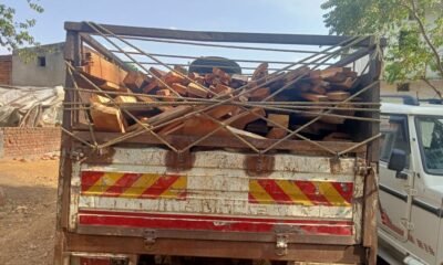 साल तथा मिश्रित लकड़ी के अवैध चिरान जप्त .. Kshiti Technologies