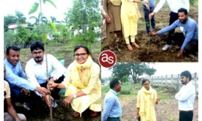 कलेक्टोरेट परिसर में किया गया पौधरोपण, कलेक्टर ने लगाया आम का पौधा .. Kshiti Technologies