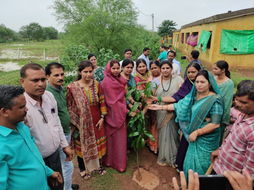 सारंगढ़-बिलाईगढ़ जिले के ग्राम कोसीर में मनाया गया ज़िला स्तरीय हरेली पर्व .. Kshiti Technologies