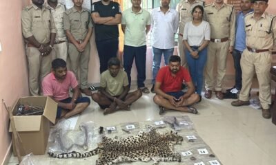 बाघ के तस्कर गिरोह को पकड़ने में वन विभाग को मिली बड़ी कामयाबी .. Kshiti Technologies