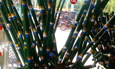 हरेली तिहार हेतु सी-मार्ट में विक्रय के लिए उपलब्ध है गेड़ी .. Kshiti Technologies