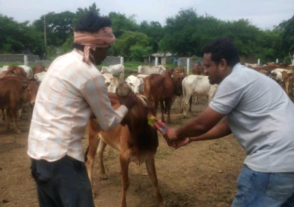 हाईकोर्ट के निर्देश पर अमल .. Kshiti Technologies हाईकोर्ट के निर्देश पर अमल .. Kshiti Technologies