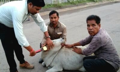 हाईकोर्ट के निर्देश पर अमल .. Kshiti Technologies