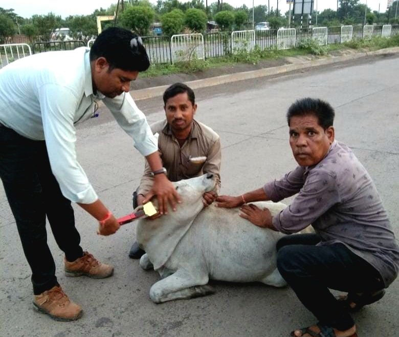 हाईकोर्ट के निर्देश पर अमल .. Kshiti Technologies हाईकोर्ट के निर्देश पर अमल .. Kshiti Technologies