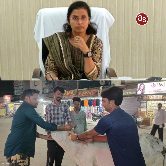 कलेक्टर डाॅ फरिहा आलम सिद्दीकी ने आवारा पशुओं के विस्थापन हेतु ली बैठक .. Kshiti Technologies कलेक्टर डाॅ फरिहा आलम सिद्दीकी ने आवारा पशुओं के विस्थापन हेतु ली बैठक .. Kshiti Technologies