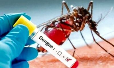 बरसात के मौसम में डेंगू , मलेरिया का खतरा होता है अधिक, सोते समय करें मच्छरदानी का उपयोग .. Kshiti Technologies