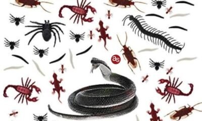 अलर्ट : कोई कीड़ा भी काटता है तो जान बचाने के लिए लगवाएं एंटी वैक्सीन .. Kshiti Technologies