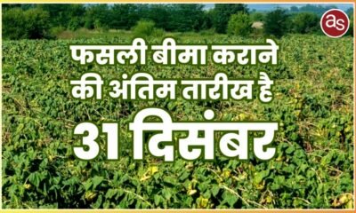 रबी फसल के लिए प्रधानमंत्री फसल बीमा की अंतिम तिथि 31 दिसम्बर .. Kshiti Technologies