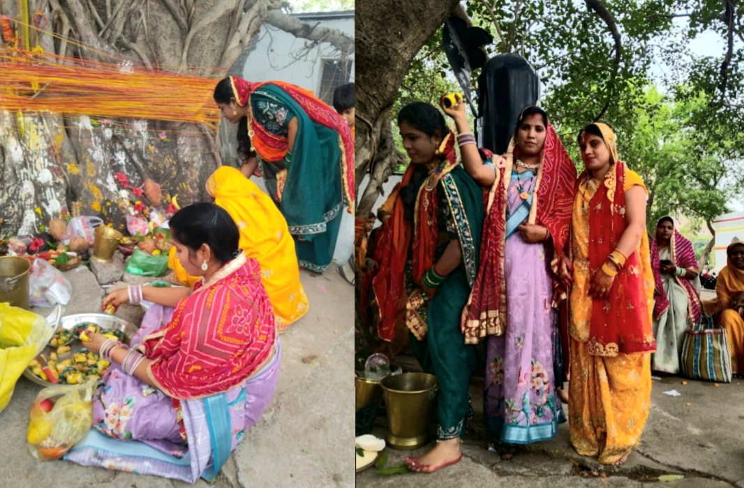धर्म नगरी खरसिया में वट सावित्री पूजा, सुहागनों ने किया वट वृक्ष का पूजन .. Kshiti Technologies धर्म नगरी खरसिया में वट सावित्री पूजा, सुहागनों ने किया वट वृक्ष का पूजन .. Kshiti Technologies