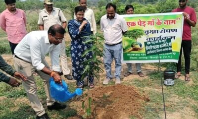 विश्व पर्यावरण दिवस पर कलेक्टर ने अपनी मां पदमा कन्नौजे के नाम पर रोपणी मे किया पौधारोपण .. Kshiti Technologies