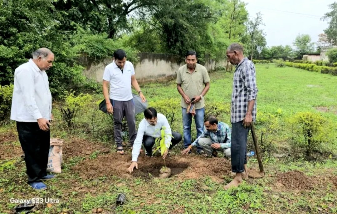 सीसल कृषि प्रक्षेत्र में किया गया फलदार पौधों का रोपण .. Kshiti Technologies सीसल कृषि प्रक्षेत्र में किया गया फलदार पौधों का रोपण .. Kshiti Technologies