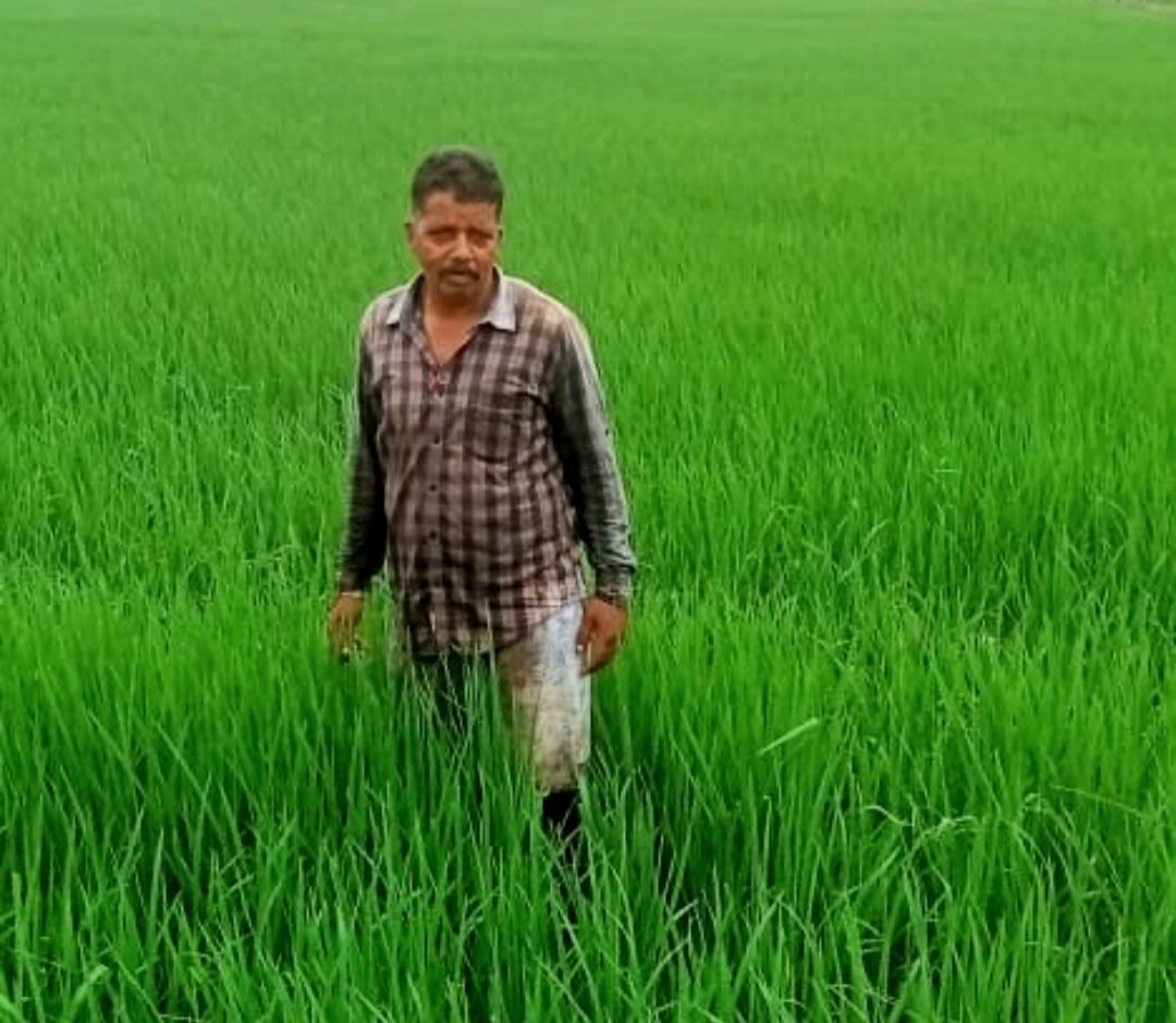 बीज उत्पादन कार्यक्रम अंतर्गत पंजीयन की अन्तिम तिथि 31 अगस्त .. Kshiti Technologies