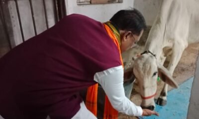 गौ-सेवा से ही मिलती है सच्ची शांति और ऊर्जा : मुख्यमंत्री विष्णु देव साय .. Kshiti Technologies