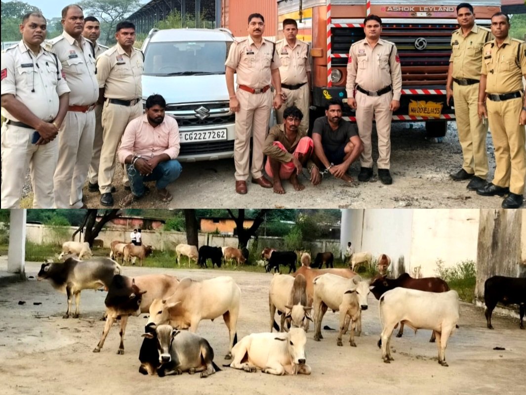 ज़िला पुलिस सक्ती की बड़ी कार्रवाई : आंध्रप्रदेश–महाराष्ट्र–छत्तीसगढ़ गौ-तस्करी नेटवर्क का भंडाफोड़ .. Kshiti Technologies ज़िला पुलिस सक्ती की बड़ी कार्रवाई : आंध्रप्रदेश–महाराष्ट्र–छत्तीसगढ़ गौ-तस्करी नेटवर्क का भंडाफोड़ .. Kshiti Technologies