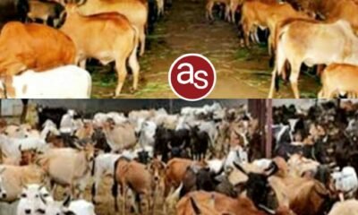 गौधाम संचालन हेतु एनजीओ ट्रस्ट व समितियों से प्रस्ताव आमंत्रित, अंतिम तिथि 30 सितम्बर .. Kshiti Technologies