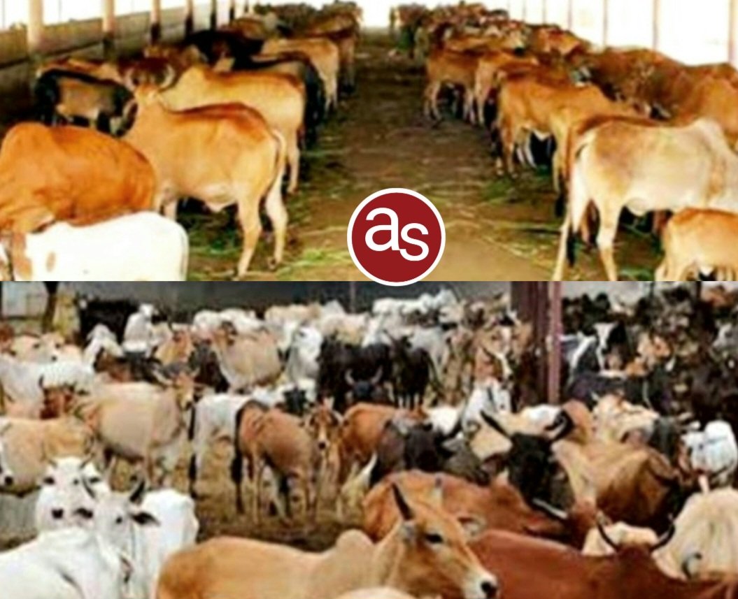 गौधाम संचालन हेतु एनजीओ ट्रस्ट व समितियों से प्रस्ताव आमंत्रित, अंतिम तिथि 30 सितम्बर .. Kshiti Technologies