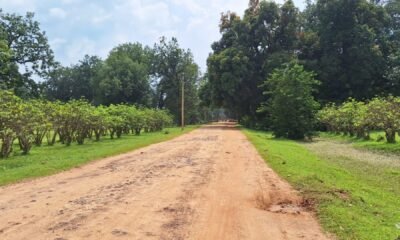 चिर्रा से श्यांग, पूरी होगी सड़क की मांग, काम हुआ शुरू .. Kshiti Technologies