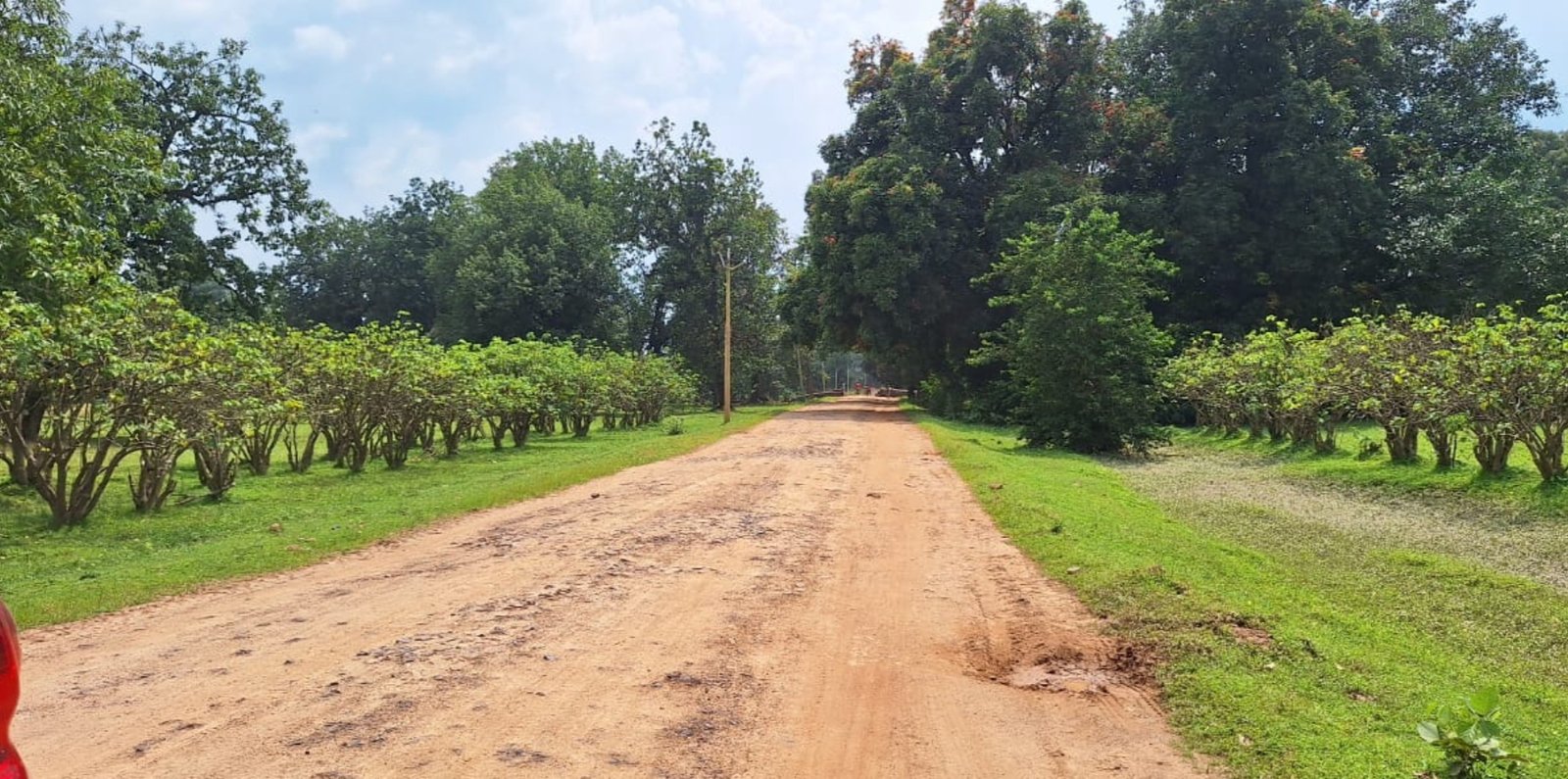 चिर्रा से श्यांग, पूरी होगी सड़क की मांग, काम हुआ शुरू .. Kshiti Technologies