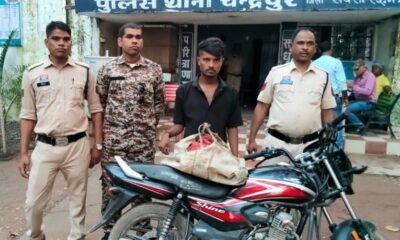 चन्द्रपुर पुलिस की बड़ी कार्यवाही : कच्ची महुआ व देशी शराब के साथ आरोपी गिरफ्तार, मोटर सायकल जप्त .. Kshiti Technologies