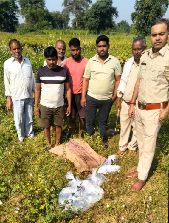 ग्राम हरदी में महुआ शराब पर बड़ी कार्रवाई, 1420 किलो लाहन और 100 लीटर महुआ शराब नष्ट .. Kshiti Technologies