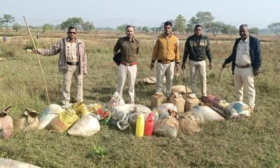 आबकारी वृत्त की वार्ड नंबर 1 में अवैध महुआ शराब पर बड़ी कार्रवाई 1200 किलो महुआ लहान और 70 लीटर शराब नष्ट, जिले मे टीम की लगातार दबिश .. Kshiti Technologies